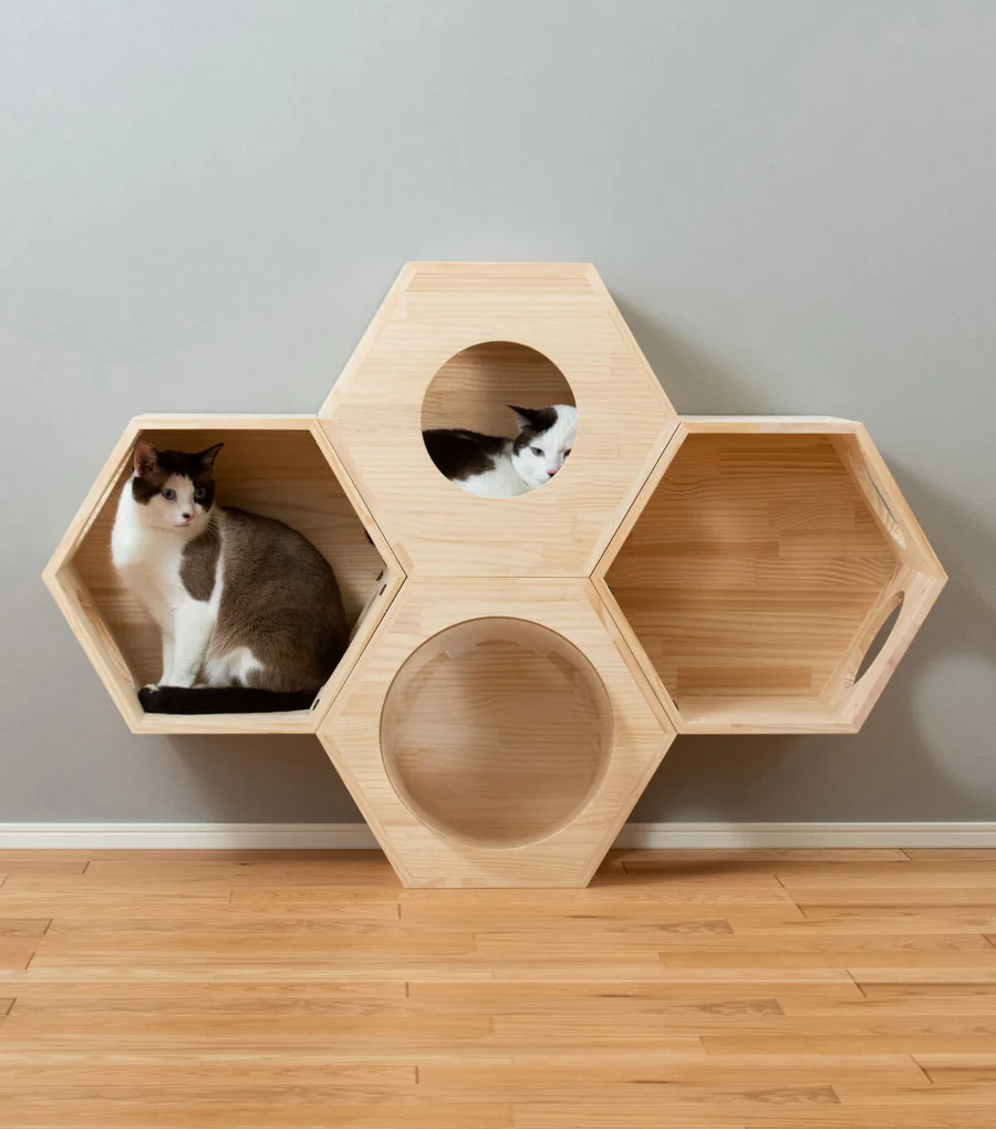 おしゃれにデザインされたキャットタワーで遊ぶ子猫たち